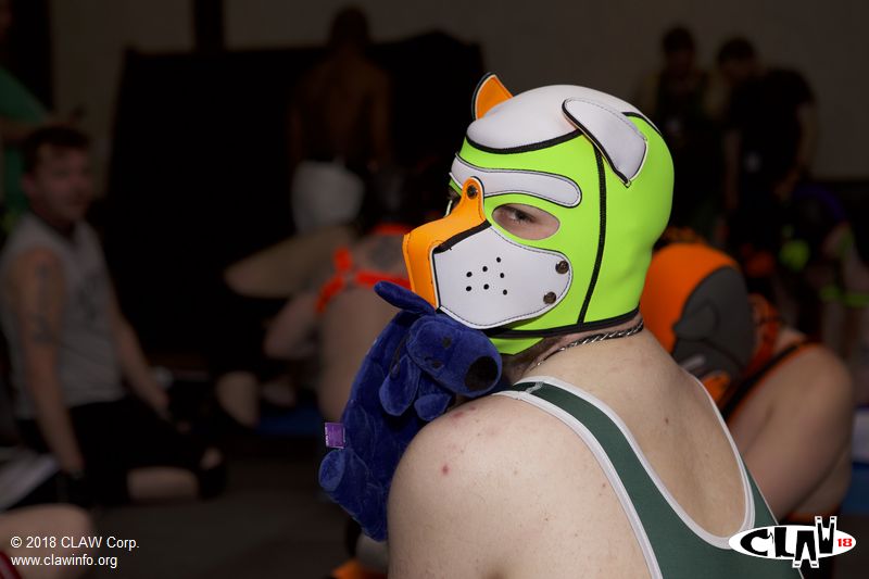 CLAW18-013