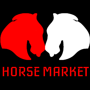Horse Market
